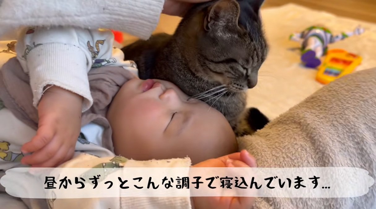 寝込んでいる赤ちゃんのそばに寄り添う猫