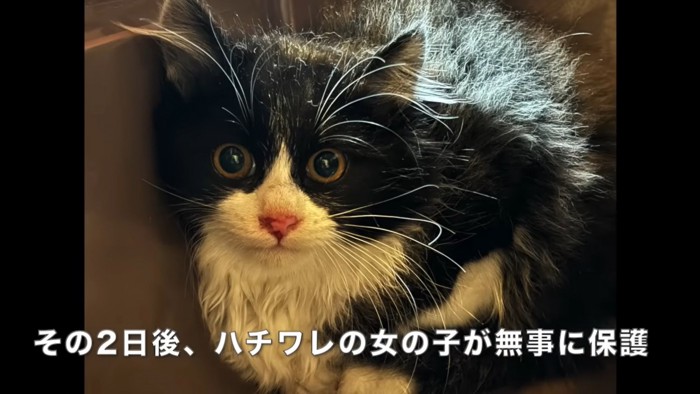 テロップ「その2日後、～」