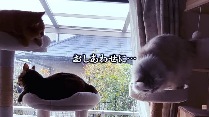 テロップ「おしあわせに」