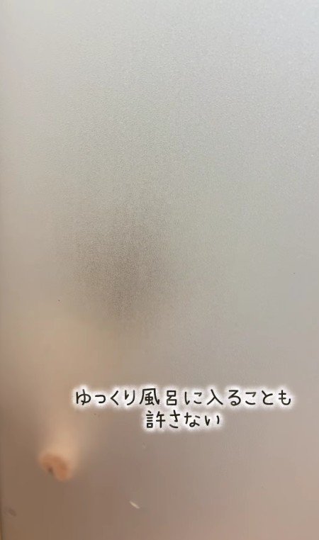 ドアの向こうにいる猫