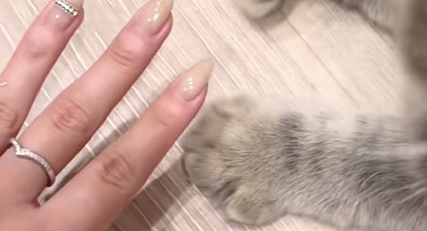 開いた凪ちゃんのおててのアップ