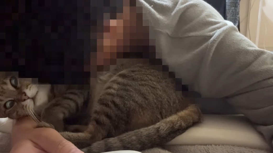 猫吸い