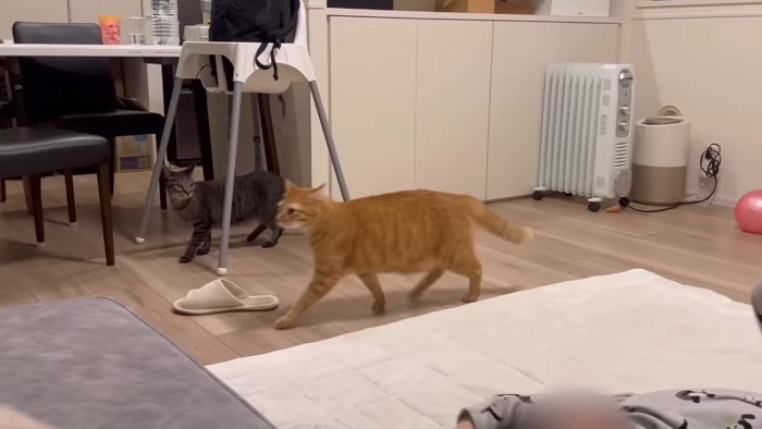 小走りするふたり