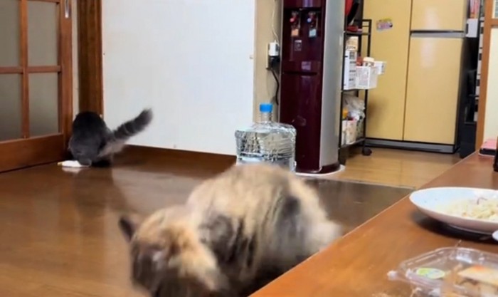 その場から立ち去るちゃちゃちゃん