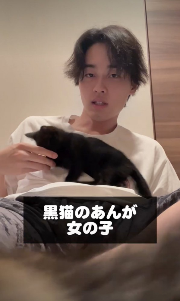 黒猫のあんちゃん