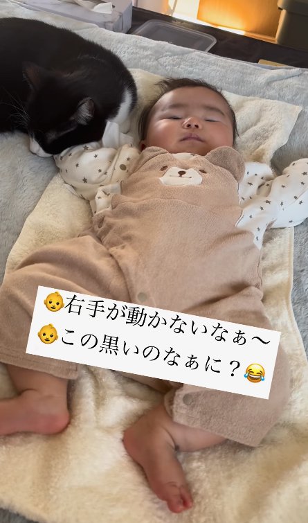 赤ちゃんの右手を枕にして寝ている猫