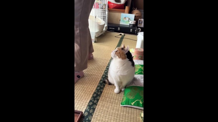 後ろから見上げて