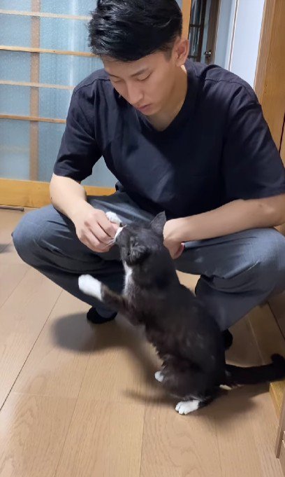 男性に甘える猫