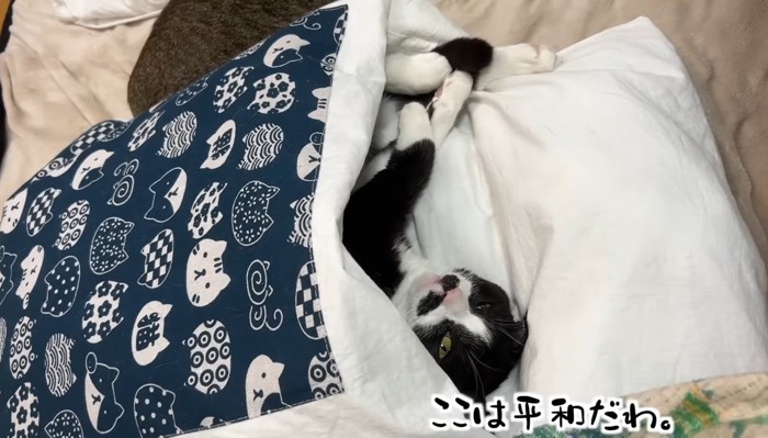 ここは平和だわ