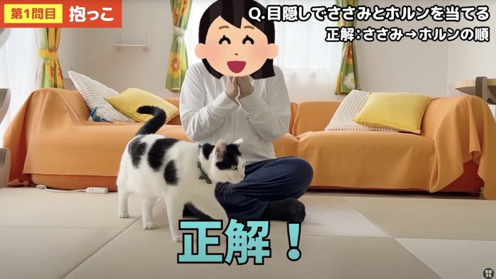 手を合わせる女性の前を通る猫