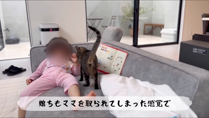 ソファに横になる女の子と、女の子にすり寄るキジトラ猫