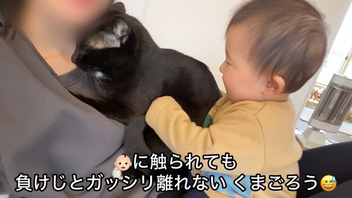 「負けじとガッシリ離れないくまごろう」