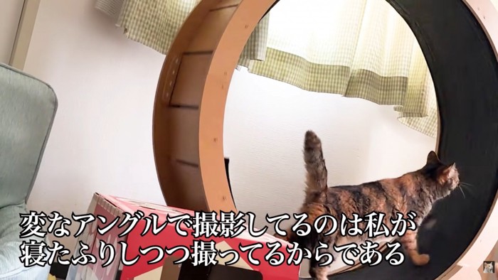 テロップ「変なアングルで~」