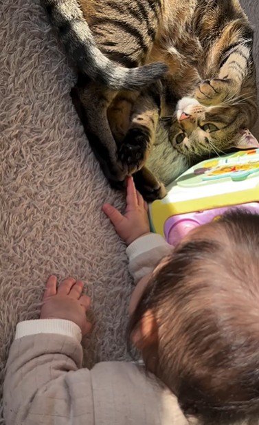 床に寝ている猫と赤ちゃん