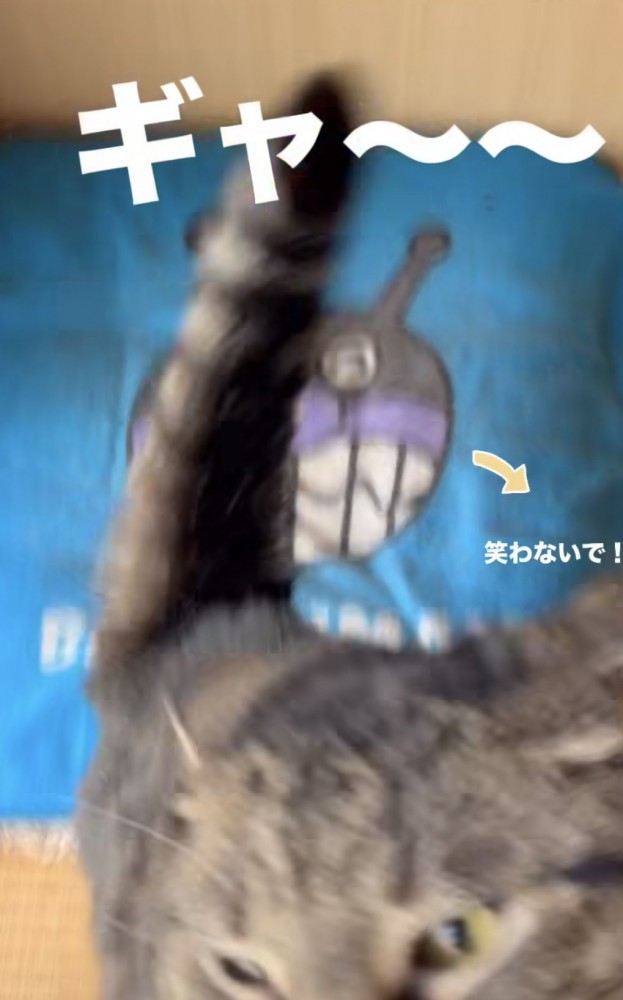 「ギャ~~」のテロップ写真