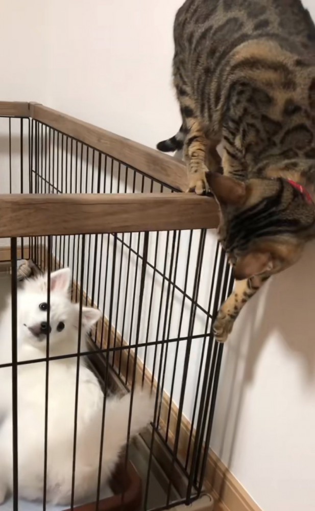 別の角度から覗き込む