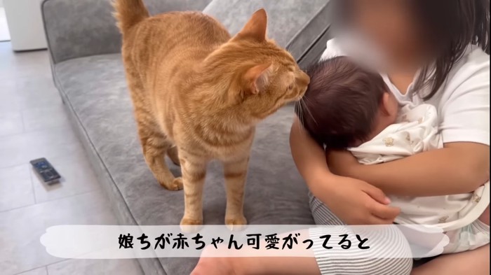 赤ちゃんの匂いチェック