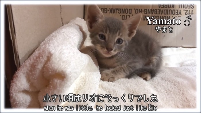 テロップ「小さいころは~」