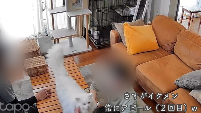 テロップ「さすがイケメン」