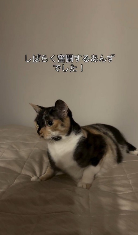 「しばらく…」と書かれた写真