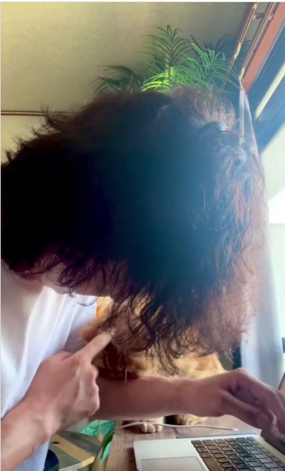 人の腕を噛んでいる猫