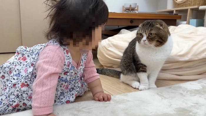 赤ちゃんの隣に座るぽこ太郎くん