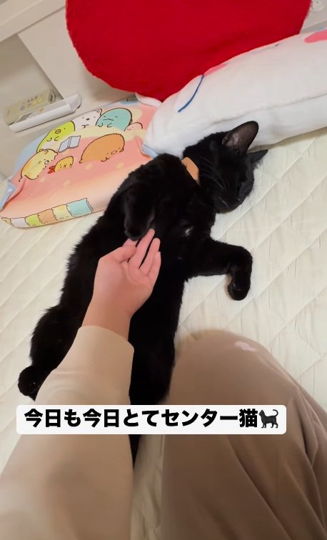 撫でられるみーてぃちゃん