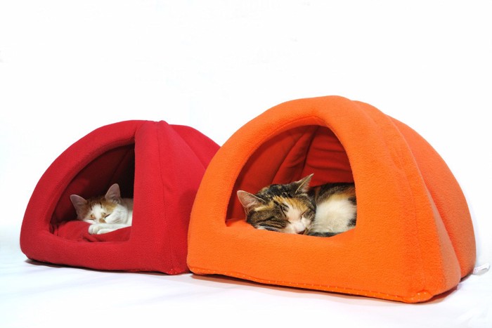 2つの猫ベッドと中に入っている猫