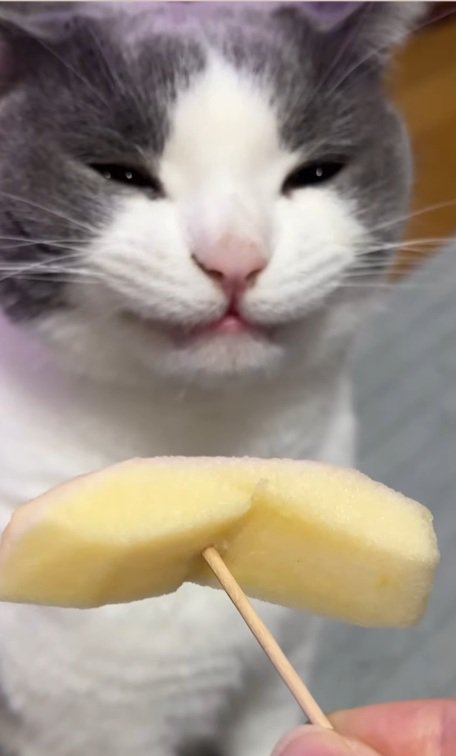 顔が引きつるそらくん