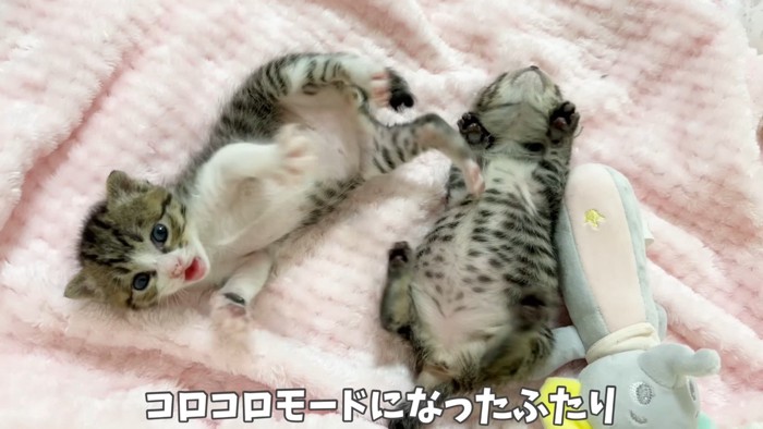 コロコロモード