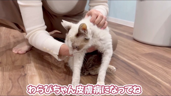 汚れた猫をカメラの前に連れてきた女性