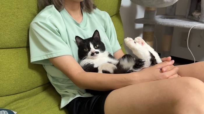 膝抱っこ(向かって左から)