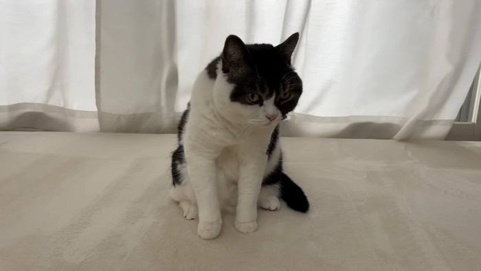 悩むうま次郎くん