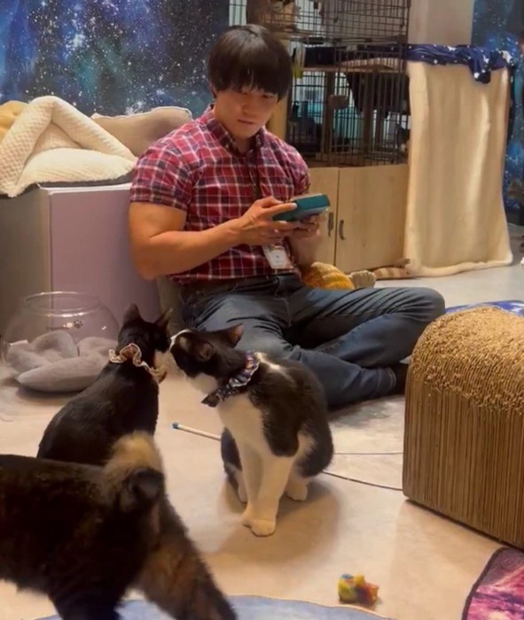 青木マッチョさんと猫たち