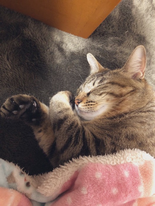 眠るメルちゃん