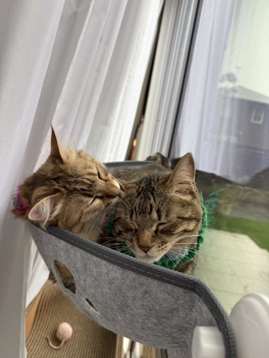 ルルちゃんとララちゃん