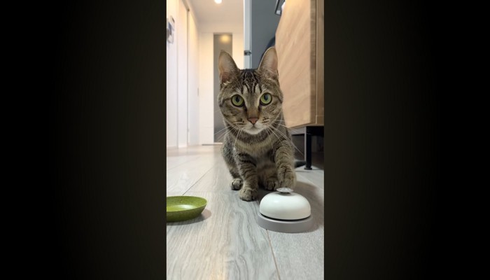 ベルを鳴らすあめちゃん