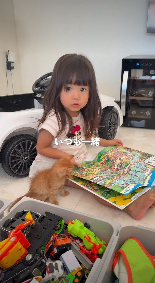 絵本を読む女の子の傍にいる子猫