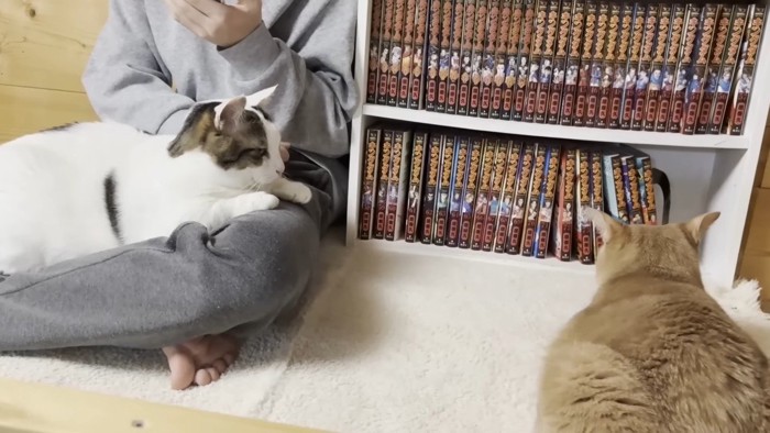 ひのきちゃんの後ろ姿