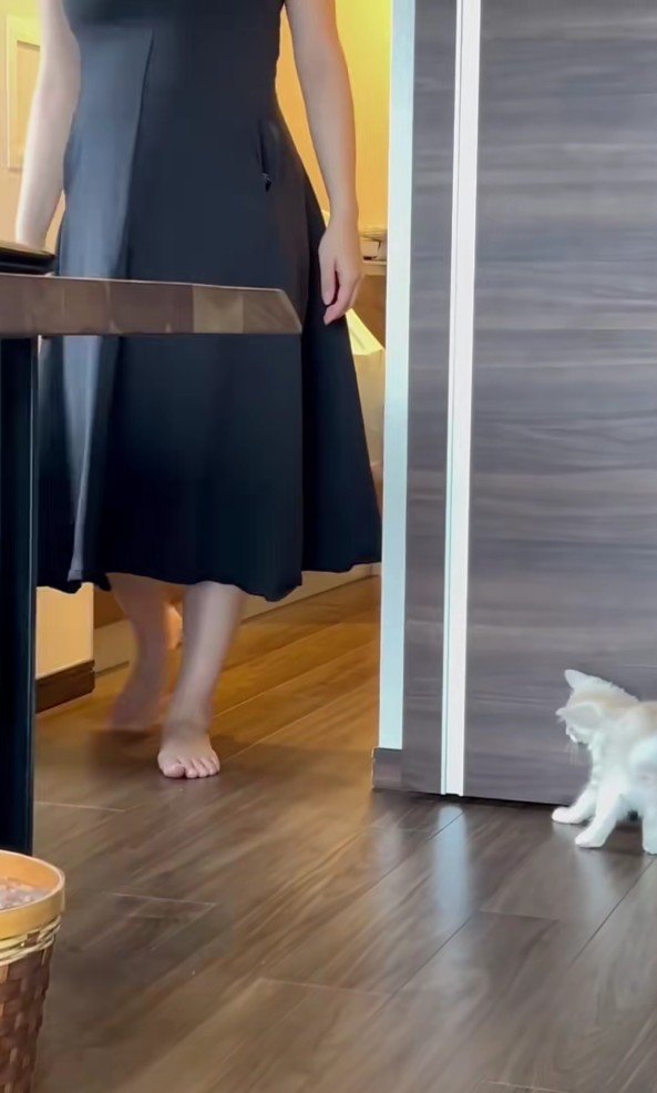 かくれんぼ中のバンビくん