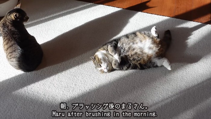 寝ころぶまるくん