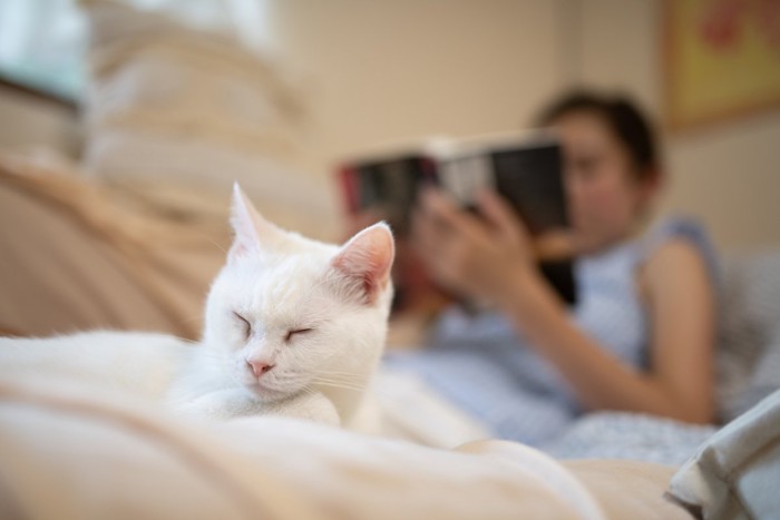 読書する飼い主と猫