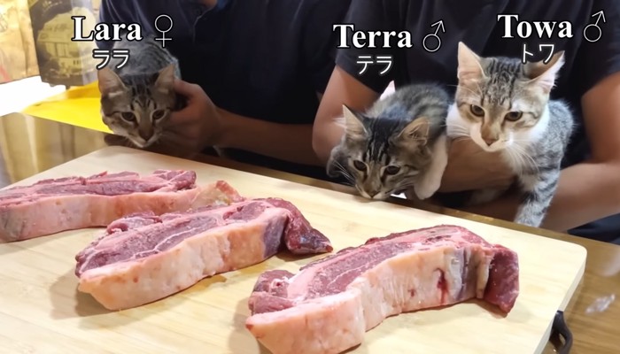 お肉の塊