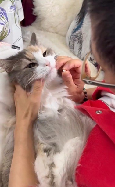 飲み薬を持っている人と抱かれている猫