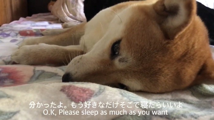分かったよ。