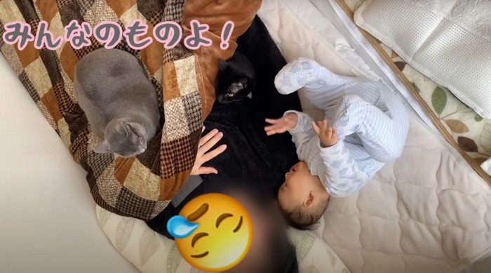 「みんなのものよ」と書かれている