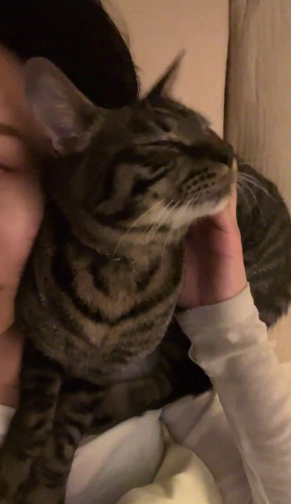 飼い主さんに甘える五右衛門くん