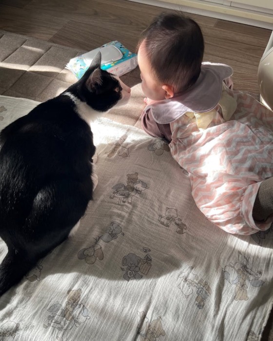 顔を近づける猫と赤ちゃん