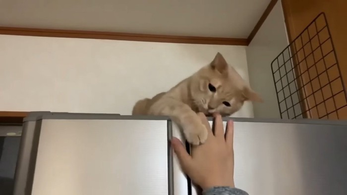 手にタッチ(アップ)