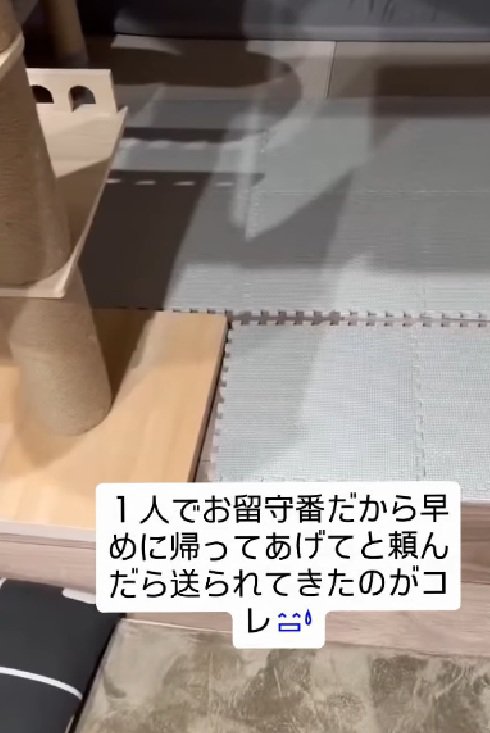 部屋の中